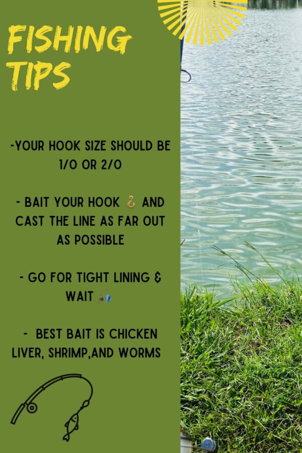 Gone Fishin’ at Sunrise Catfish Farm in DeRidder, Louisiana