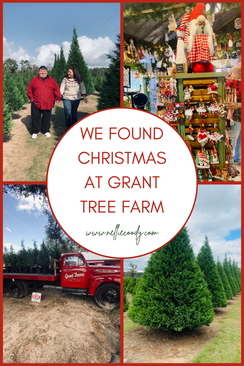 <strong>We Found Christmas at Grant Christmas Tree Farm</strong>