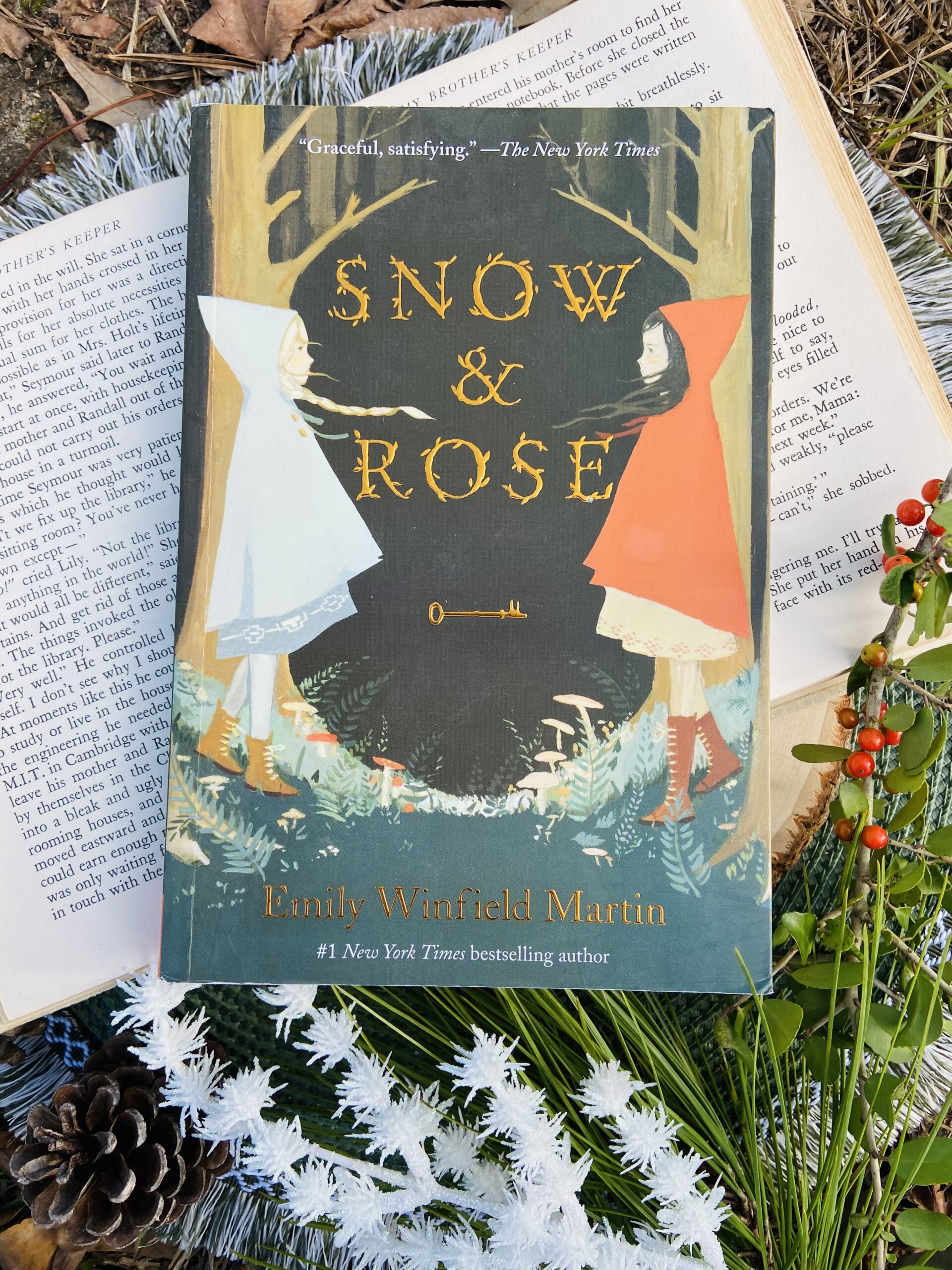 Winter Books for Your Winter TBR - NellieCoody.com