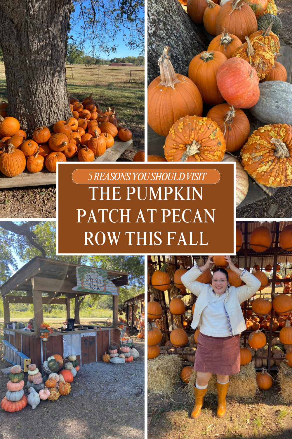5 Reasons You Should Visit the Pumpkin Patch at Pecan Row This Fall